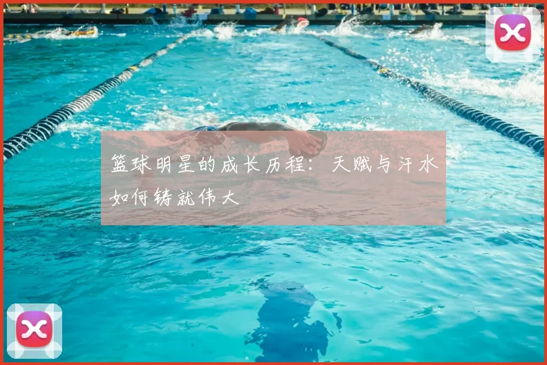 篮球明星的成长历程:天赋与汗水如何铸就伟大