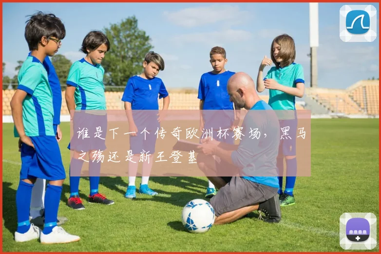 谁是下一个传奇欧洲杯赛场，黑马之殇还是新王登基