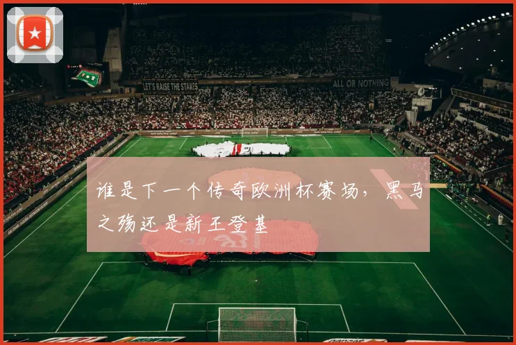 谁是下一个传奇欧洲杯赛场，黑马之殇还是新王登基