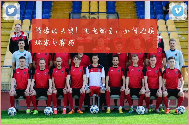 情感的共鸣!电竞配音,如何连接玩家与赛场