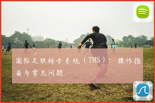 国际足联转会系统（TMS）：操作指南与常见问题