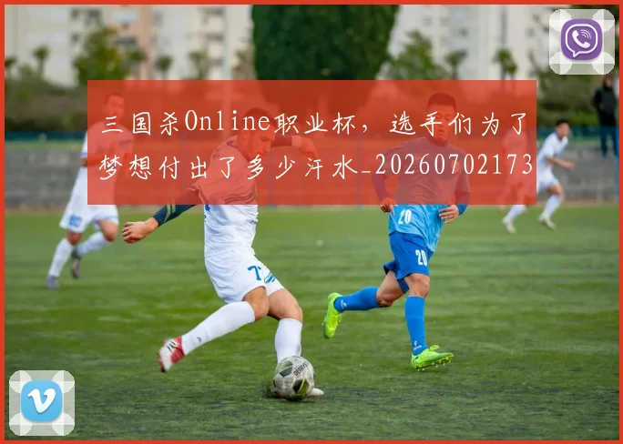 三国杀Online职业杯,选手们为了梦想付出了多少汗水_20260702173938